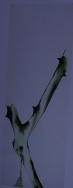 Kat.1.150x384