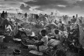 salgado2