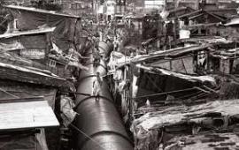 salgado3