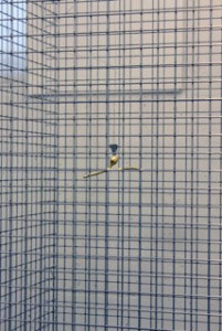 mf300x201gitter3337