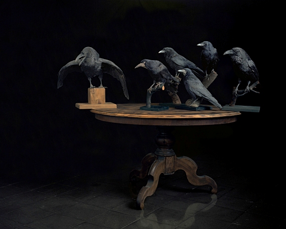 BIRDS 2012.570