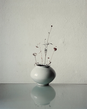 FLOWERS XVII.300x375