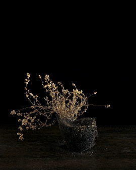 Flowers VII 2012.270.breit