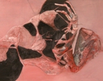 rm.149.117.actnr60