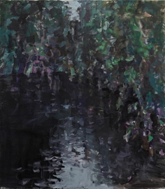 Spiegelung026698.270