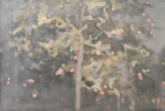 7 Blüten 570.jpg