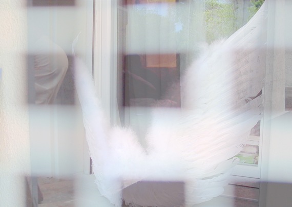 KW Jen-Seits, 2008 570.jpg