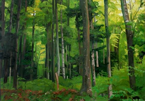 PN Wald 3, 05, 140 x 200kl.jpg